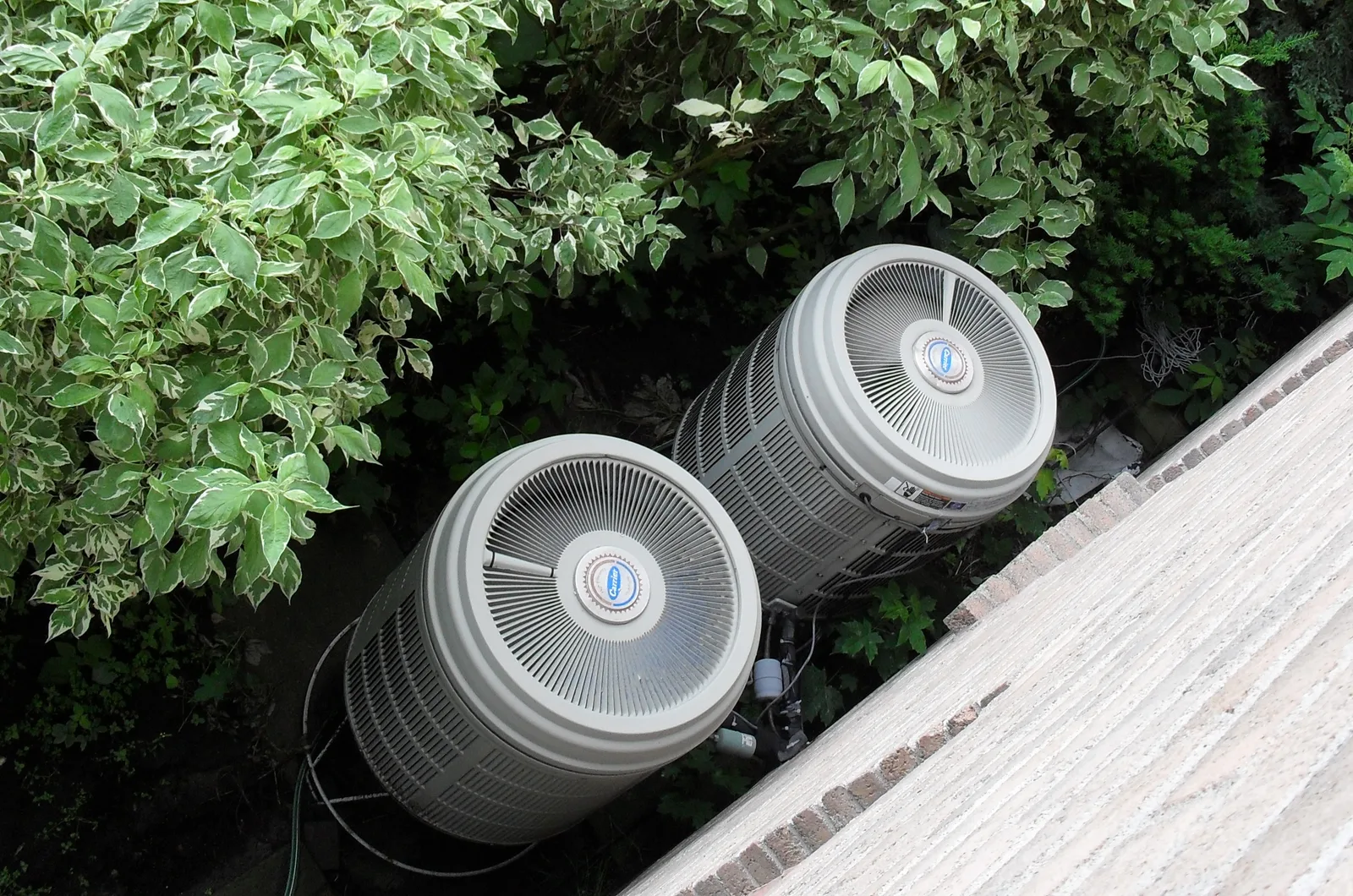 Two outdoor heat-pump units beside a home and shrubs
